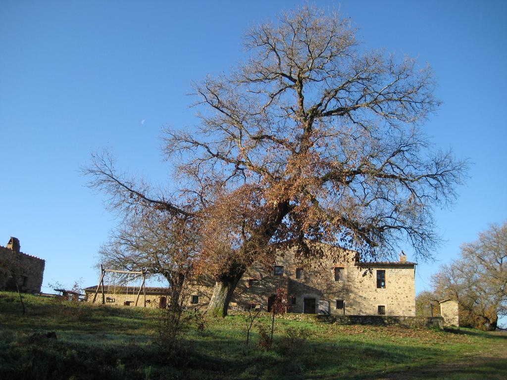 Agriturismo Il Casalino Pari Exterior photo